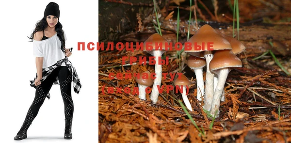 гашиш Вязники