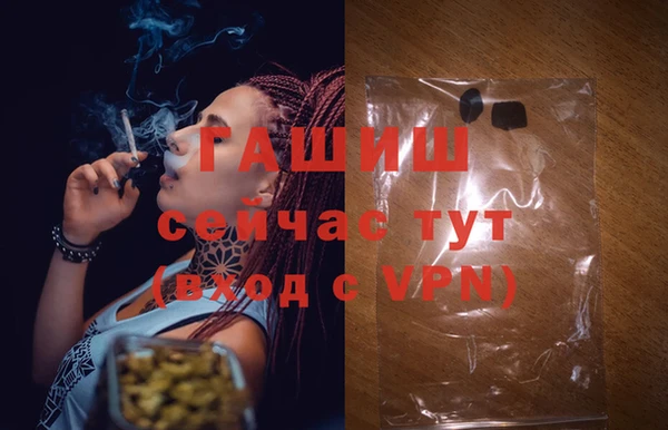 гидра Елизово