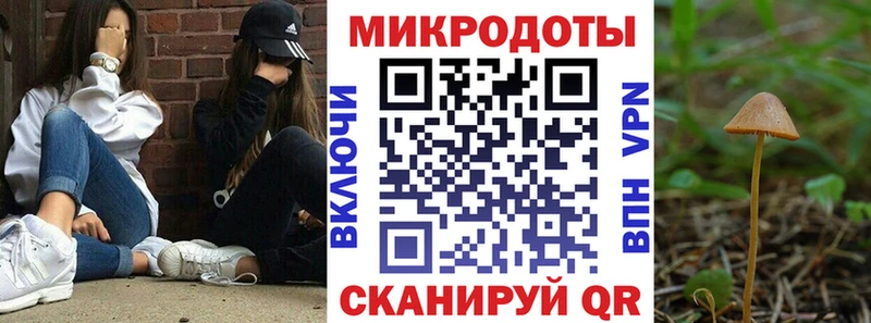 shop какой сайт  даркнет сайт  Печоры  Галлюциногенные грибы мухоморы 